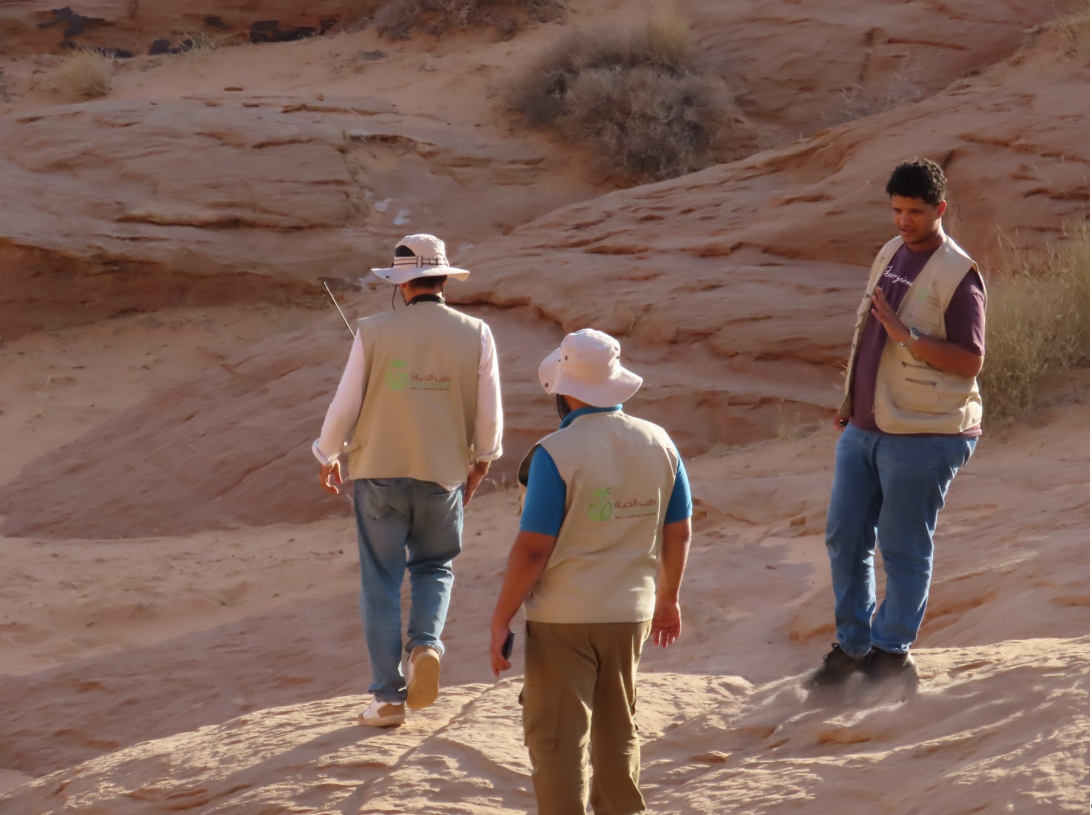 Ecological, Archaeological Survey and Aviation Noise Modeling - DAR AL RIYADH